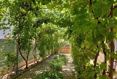 Casa de vanzare P+1E - 3