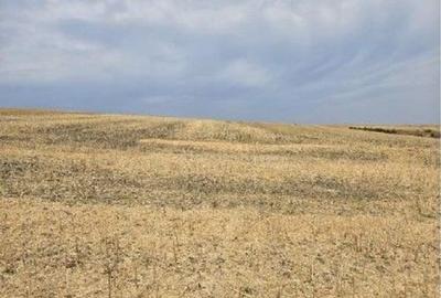 Teren Negureni, cota parte 1/8, ID: R2695094 - 3