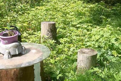 Casă cu 5 camere în Poiana Țapului - 4