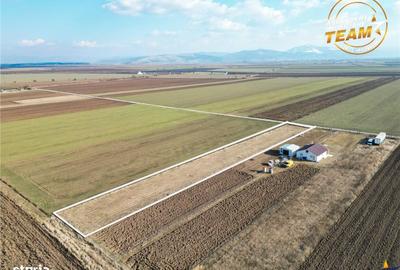 Spațiu comercial, în Chilieni