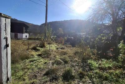 7277mp teren intravilan, la strada principala, in comuna Gole?ti, sat Blidari, jud Valcea - 17