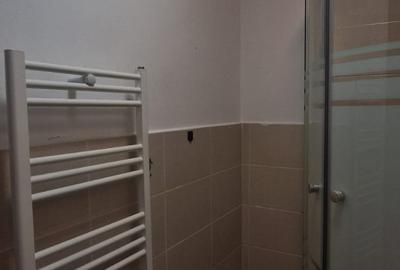 Inchiriere garsoniera cocheta, zona Blumana - 10