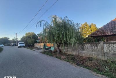 Casă cu 3 camere cu Teren 4820 Mp în Telești - 9