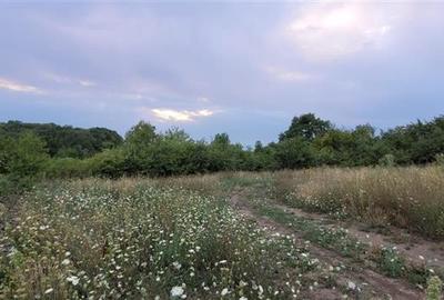 Teren agricol extravilan de 38000 mp, în Gușterița - 2