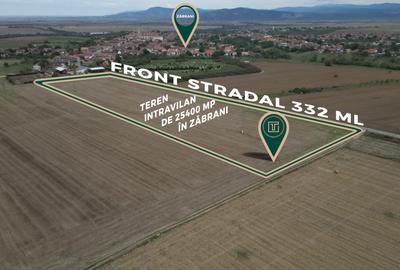 Teren intravilan de 25400 mp cu potențial excepțional pentru investiție în Zăbra - 1