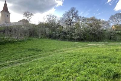 Teren de 5370 mp, în Roșia - 2