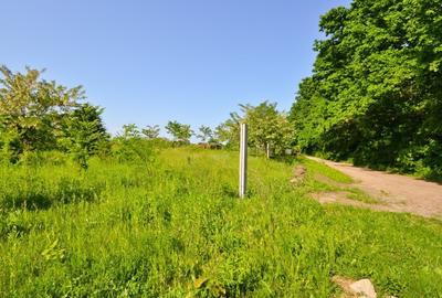 Teren intravilan situat in zona Padurea Baneasa - 4