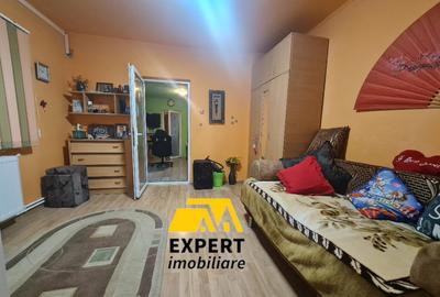 Casa Brailita sup 577 mp ,mobilata complet - 3