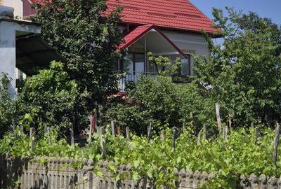 Casă în Laloșu - 10