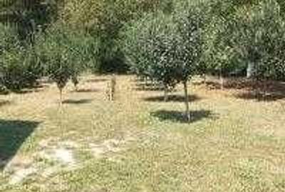 Casă cu 2 camere în Central - 1