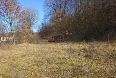 Teren de 3384 mp, în Sud - 1