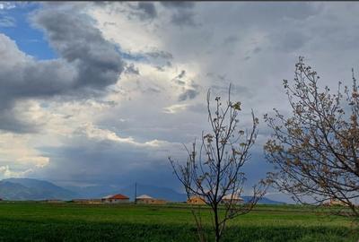 Teren 1000mp Prejmer - 4