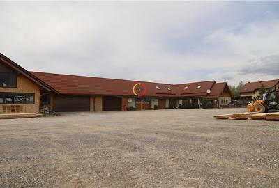 Constructii si teren  intravilan18.000 mp - 3