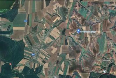 Teren Negureni, cota parte 1/8, ID: R2695094 - 10