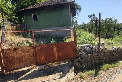 Casă în Sohodol - 1