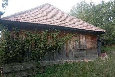 Teren de 9000 mp, în Secăria - 4
