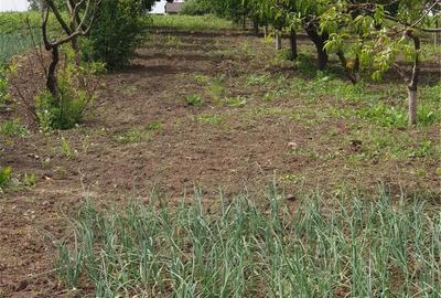 Casă cu 1 camere în Suhaia