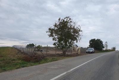 Teren de 4500 mp, în Crâng - 4