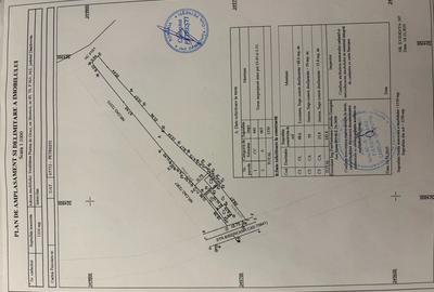 Casă cu 3 camere cu Teren 1350 Mp în Puntea de Greci - 1
