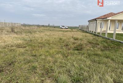 COMISION 0% Teren intravilan de vanzare 687 mp in Sacalaz COMISION 0% Teren intravilan de vanzare 687 mp in Sacalaz - 2