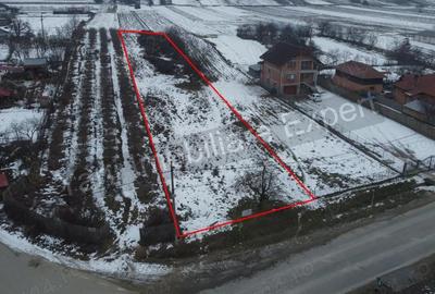 Teren de 2533 mp, în Bălteni - 1