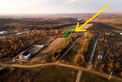 Teren intravilan de 4333 mp, în Săldăbagiu de Munte - 8
