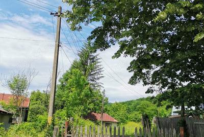 Teren de 2000 mp, în Cosmina de Sus - 8
