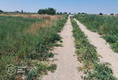 Teren pentru constructie duplex sau casa individuala, 840 mp, Chisoda - 4