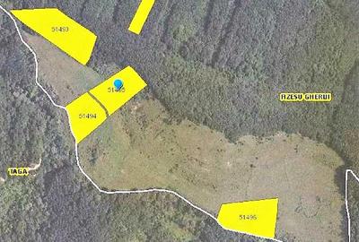 Teren de 35000 mp, în Nicula - 5