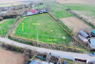 Teren Construcții intravilan de 2879 mp, în Dobreni - 1