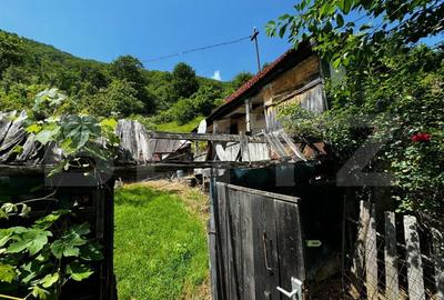 Casa la munte cu teren generos de 9340mp in zona Capalna - Valea Sebesului - 7