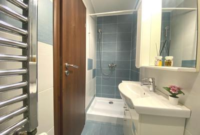 Apartament cu 3 camere semidecomandat, mobilat în Rahova - 11