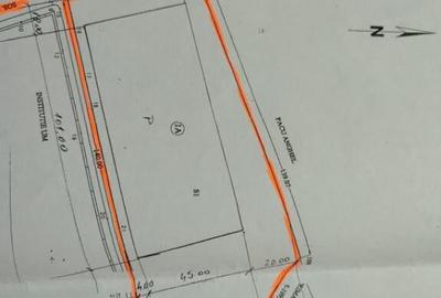 Pantelimon Centura - Teren Intravilan Construibil 9142 mp - - 3