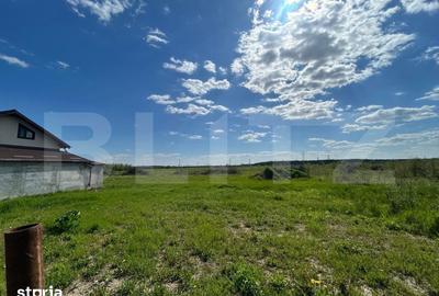 Teren de 1716 mp, în Priseaca - 1