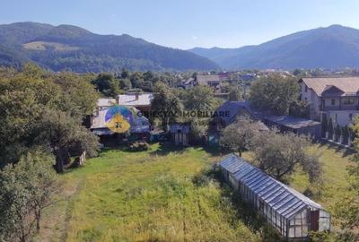 Casa traditionala de vanzare - Alexandru cel Bun- view spre munte si lac - 10