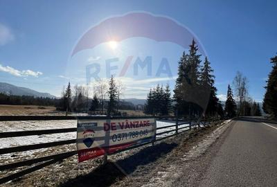 Teren 19,475mp Neagra Sarului / Strada Principala - 1