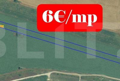 Teren de 10000 mp, în Moșnița Nouă