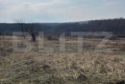 Spațiu comercial, în Paleu - 2