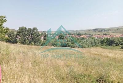 Teren intravilan, 3000 mp, în Corușu! - 4