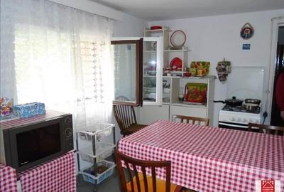 Casa mare in Aradul Nou - 5