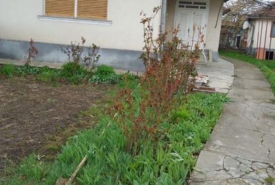Casă cu 4 camere în Central - 6