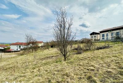 Teren de 655 mp, în Făget