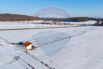 Teren agricol intravilan de 4300 mp, în Sânpetru - 2