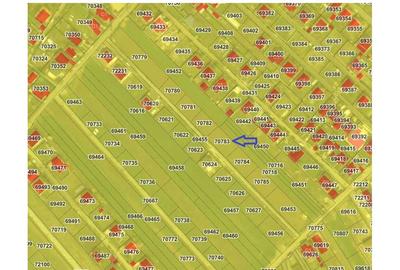 Teren de 637 mp, în Brănești - 2