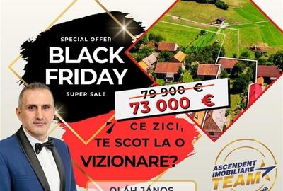 FILM!Doua case traditionale,pe domeniu cu peste 5.000mp teren,Bixad,Covasna FILM!Doua case traditionale,pe domeniu cu peste 5.000mp teren,Bixad,Covasna - 1