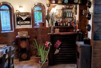 Casă individuală cu 7 camere cu Teren 3500 Mp în Cornu de Jos (Cornu) - 7