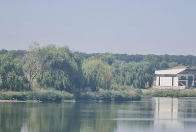 Teren Corbeanca Tamasi vsv de Paradisul verde 16000 mp deschidere lac - 11