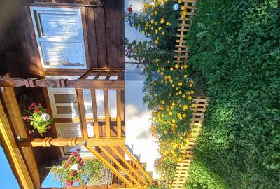 Casa de vanzare in sat Sarbi com.Budesti.Traieste linistea satului autentic maramuresan! - 1