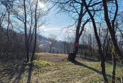 Teren în Cristian - 1