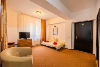 FILM! Pensiune turistica+Casa+transfer afacere+2000 mp teren,Cheile Rasnoavei,Br - 22
